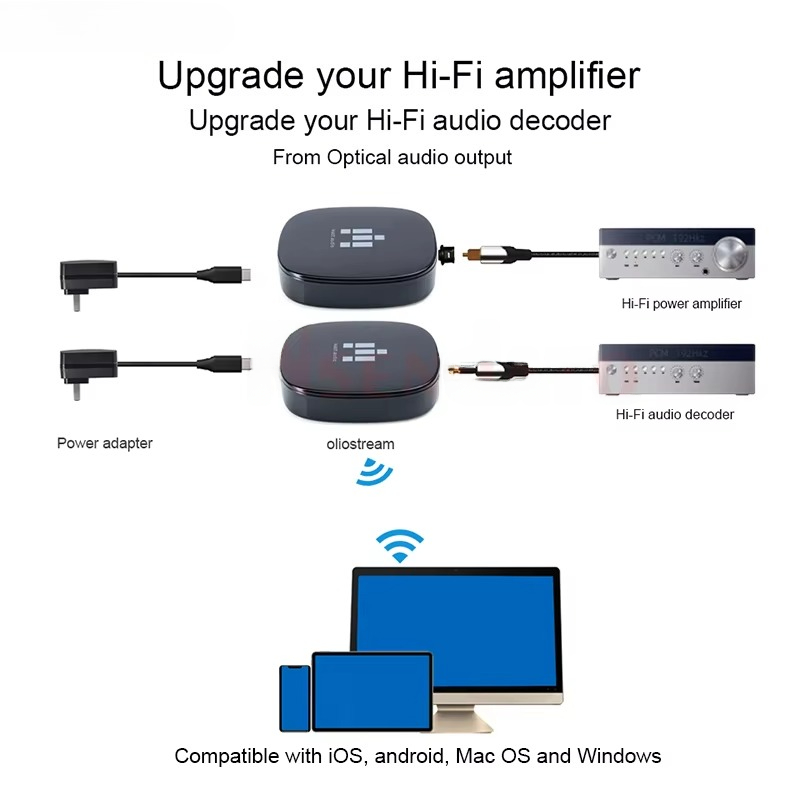 IEAST olio For DLNA Airplay 2  - Audio Music Spotify 评论和价格